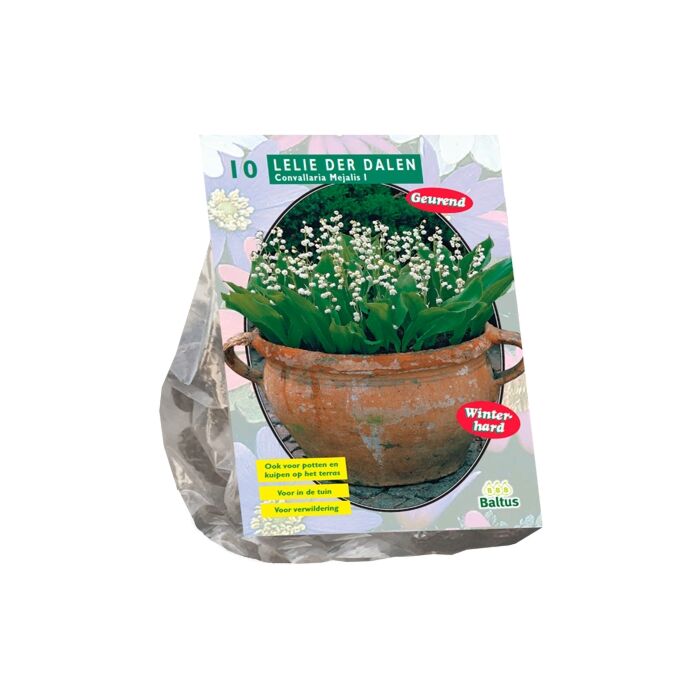 Convallaria Majalis (NJ) per 10 Convallaria Majalis (NJ) per 10