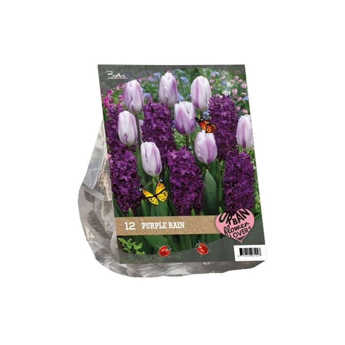 Urban Flowers - Purple Rain per 12 Urban Flowers - Purple Rain per 12