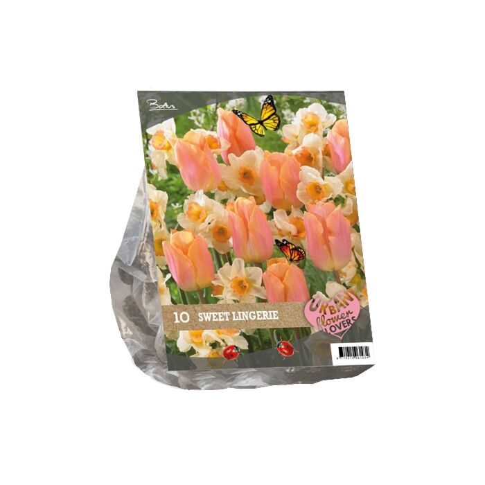Urban Flowers - Sweet Lingery per 10 Urban Flowers - Sweet Lingery per 10