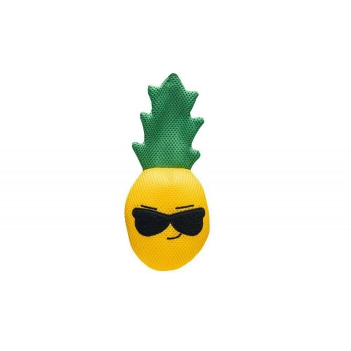 Drijvend speeltje ananas - Beeztees