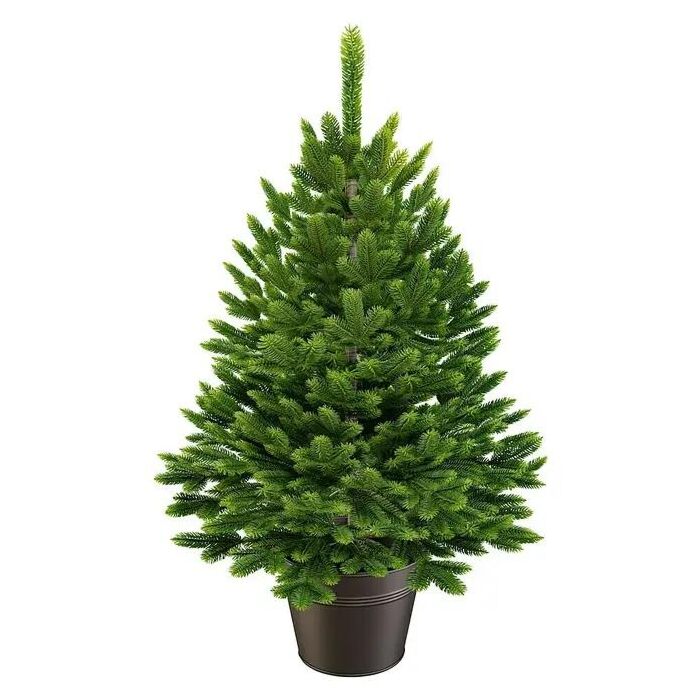 Kerstboom Premium in pot 40 cm - ArtiTree