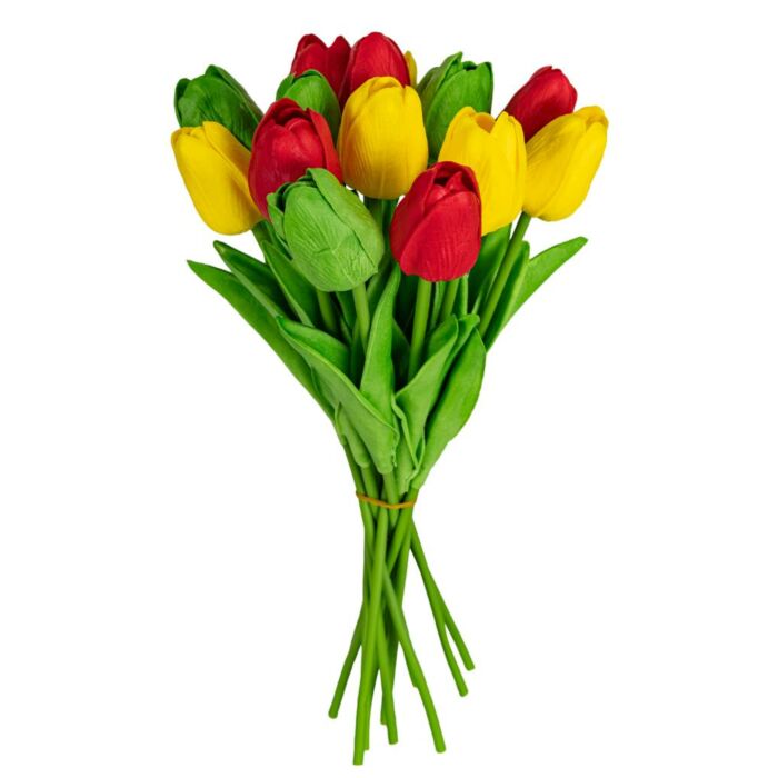 Boeketje tulpen Limburg