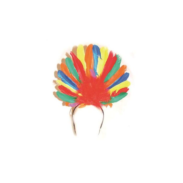 Haarband met gekleurde veren Haarband met gekleurde veren
