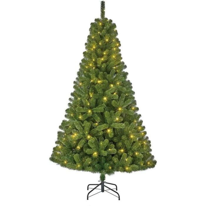 Kerstboom Charlton outdoor 470LED 240 cm - Black Box Kerstboom Charlton outdoor 470LED 240 cm - Black Box