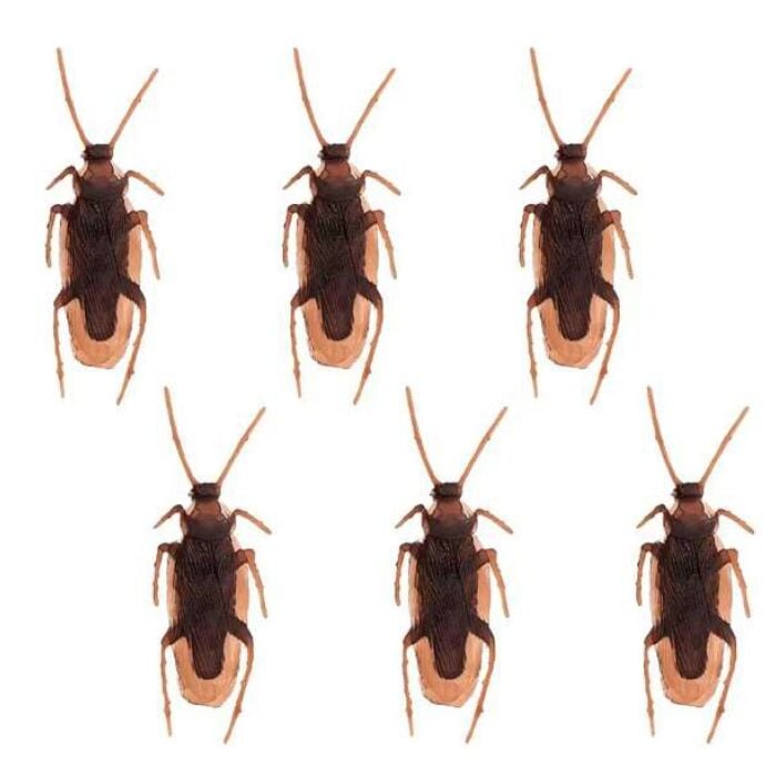 Halloween decoratie kakkerlakken 6 stuks 7,5 cm Halloween decoratie kakkerlakken 6 stuks 7,5 cm