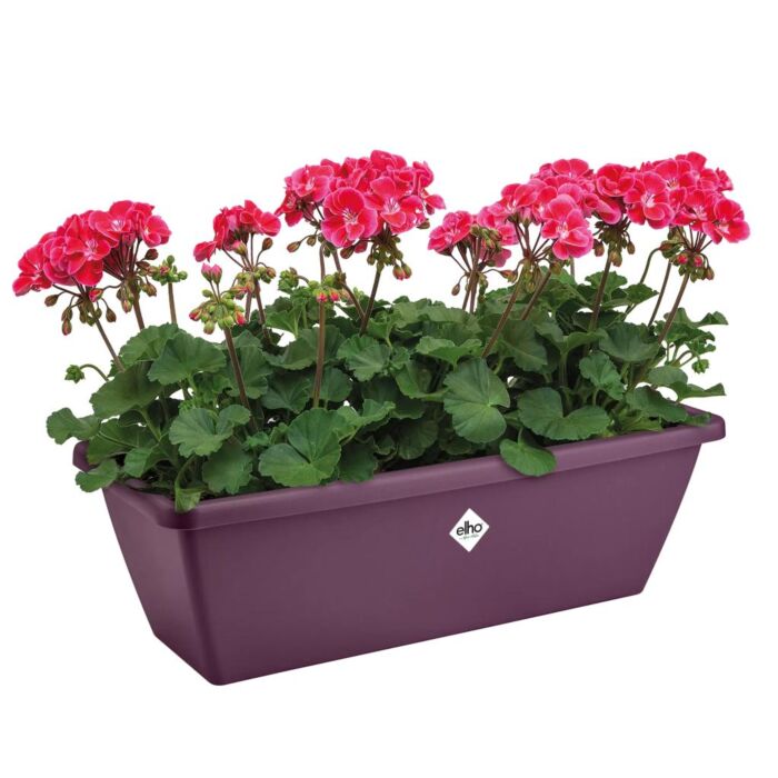 Balkonbak Barcelona esdoorn paars 70 cm - Elho Balkonbak Barcelona esdoorn paars 70 cm - Elho