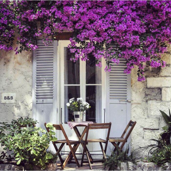 Buitencanvas terras paarse bloem 78 cm