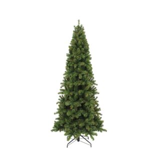 Kerstboom Pencil Pine - Triumph Tree