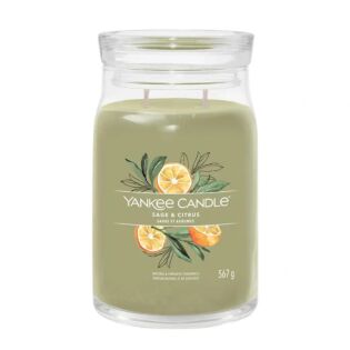 Sage & Citrus Signature Large Jar &ndash; Yankee Candle