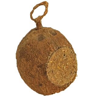 Kokosnoten gevuld 1 en 3 gaats