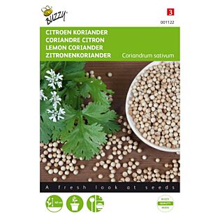 Koriander citroen laag - Buzzy Koriander citroen laag - Buzzy