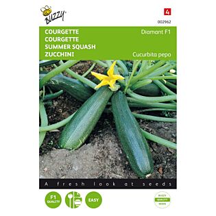 Courgette Diamant F1 - Buzzy