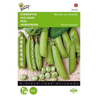 Doperwten Wonder van Amerika - Buzzy