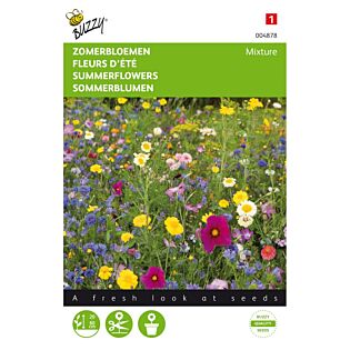 Zomerbloemen gemengd - Buzzy
