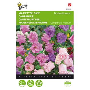 Campanula, Mari&euml;tteklokje dubbelbloemig - Buzzy