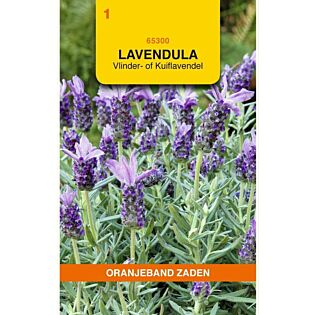 Lavendel stoechas sancho panza 0.1g