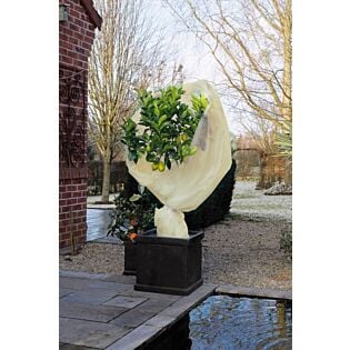 Nature Winterafdekvlies Beige 2x10m