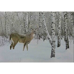 LED-canvas deer in the forrest 60 cm