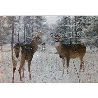 LED-canvas pair of deer 60 cm