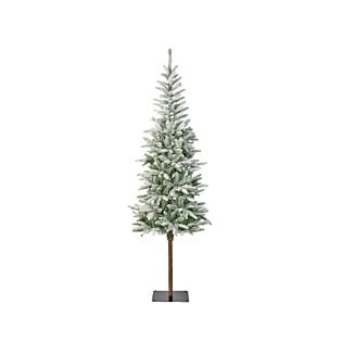 Kerstboom Alpbach Fir snowy 210 cm - Everlands