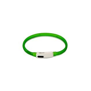 Lichtgevende halsband + USB groen - BEEZTEES