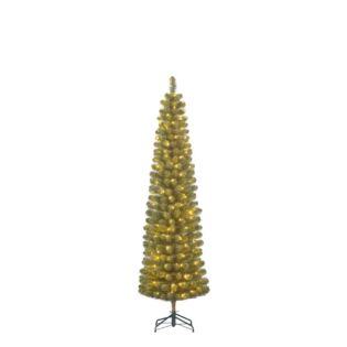 Kerstboom Charlton Pilar LED groen - Black Box