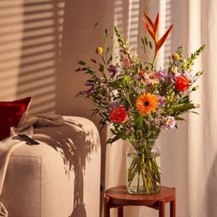 Plukboeket Beterschap