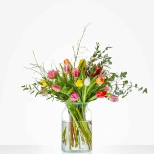 Boeket bloeiende tulp