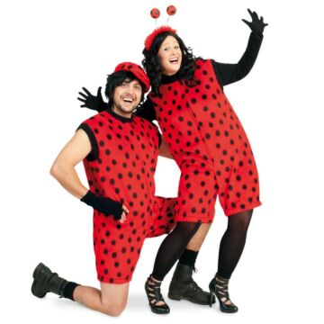 Lieveheersbeestje stippen pak