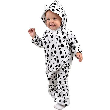 Baby Dalmatiër