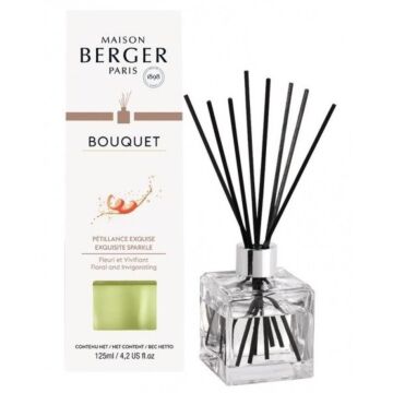 Parfumverspreider met sticks cube pétillance exquise 125 ml - Lampe Berger
