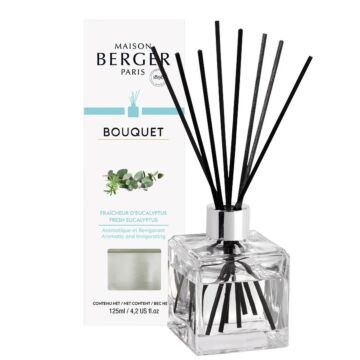 Parfumverspreider eucalyptus cube - Lampe Berger