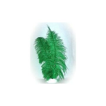 Spadonis veren groen 50 cm