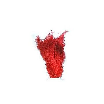 Floss veren rood 30 cm