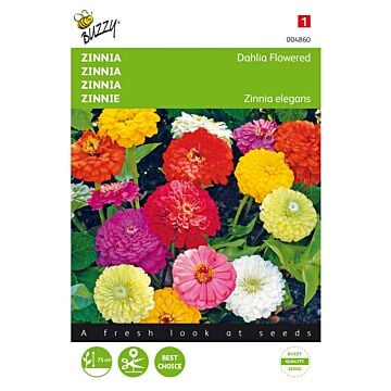 Zinnia Dahliabloemig gemengd - Buzzy