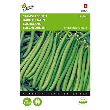 Stamslabonen Kylian - Buzzy