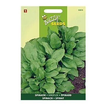 Spinazie Winterreuzen, 25g - Buzzy