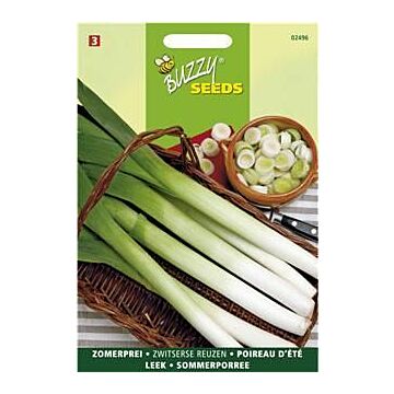 Prei Zwitserse Reuzen - Buzzy