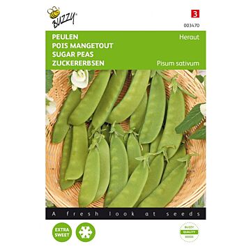 Peulen Heraut - Buzzy