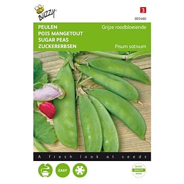 Peulen Grijze roodbloeiende - Buzzy