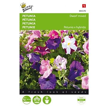 Petunia laag gemengd - Buzzy