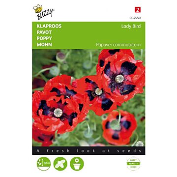Papaver, Klaproos Lady Bird - Buzzy