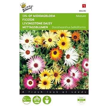 Dorotheanthus, IJsbloem kleurenmengsel - Buzzy