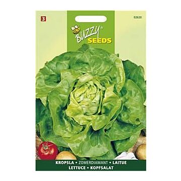 Kropsla Neckarreuzen, Zomerdiamant - Buzzy