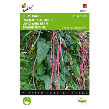 Kouseband paars - Buzzy