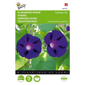 Ipomoea, Klimmende winde Grandpa Ott - Buzzy