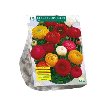 Ranonkel, Mix per 15