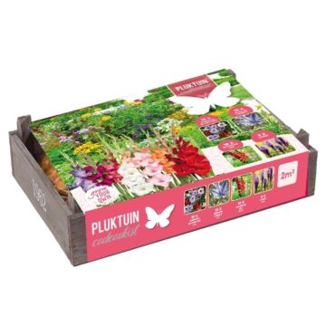Pluktuin cadeaukist Pluktuin cadeaukist