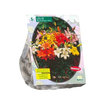 Lilium Mix per 5 Lilium Mix per 5
