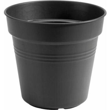 Zinken Teiltje Provencaal